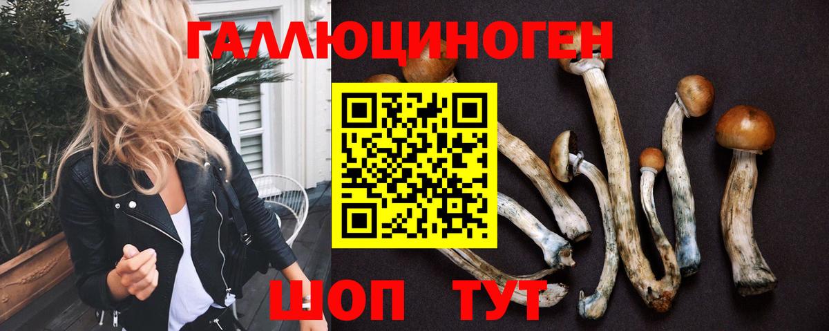 Галлюциногенные грибы мицелий Вязьма