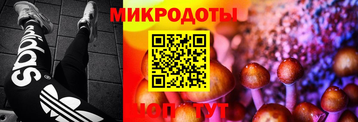 Псилоцибиновые грибы Magic Shrooms  Галлюциногенные грибы Psilocybine cubensis  Вход с VPN  Вязьма 